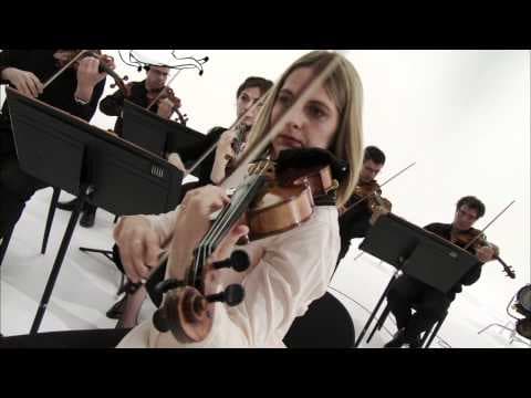 Le carnaval des animaux - de Andy Sommer et gordon - YouTube