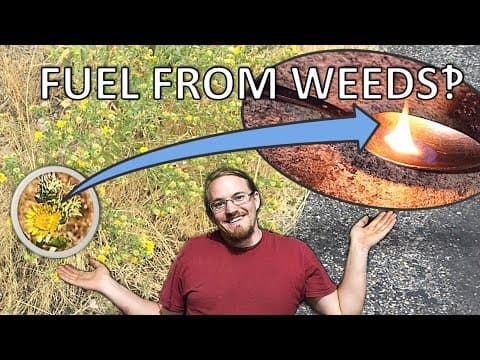 Extracting Jet Fuel From GumWeed