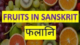 Learn the Fruit names in Sanskrit