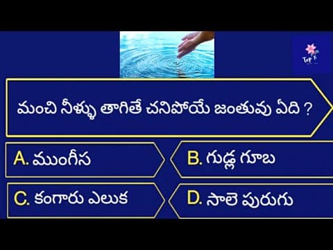 Unique general knowledge Telugu questions with answers| Telugu quiz| Gk quiz 