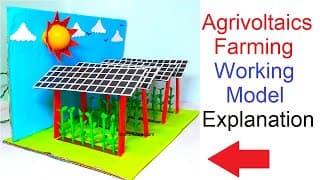 agrivoltaics farming working model explanation - integrated farming