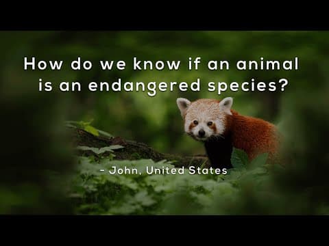 How do we know if an animal is an endangered species