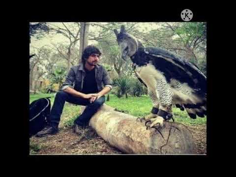 Amazing telugu facts - telugu unknown facts - 18