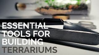 Seven essential tools for terrarium builders || Terrascaping tools every terrarium hobbyist must have