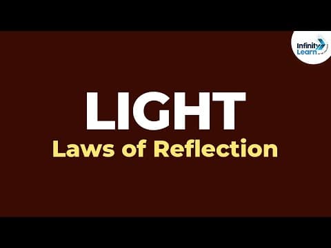 What are the laws of reflection of light? - physics - don't memorise