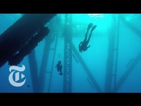 Turning Oil Rigs Into Reefs | The New York Times