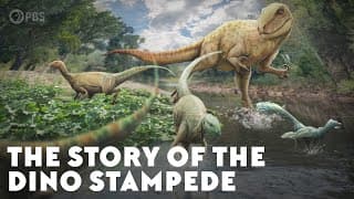 The Story of the Dino Stampede