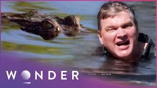 Ray Mears Ventures Into Crocodile Territory | Australian Wilderness S1 EP3 | Wonder