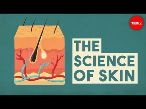 The science of skin - Emma Bryce - YouTube
