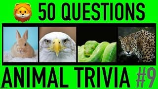 ANIMAL TRIVIA QUIZ
