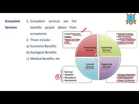 What are Ecosystem Services ? || Ecosystem Services అంటే ఏమిటి?