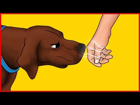 Scientists Confirm Dogs Can Recognize Bad People