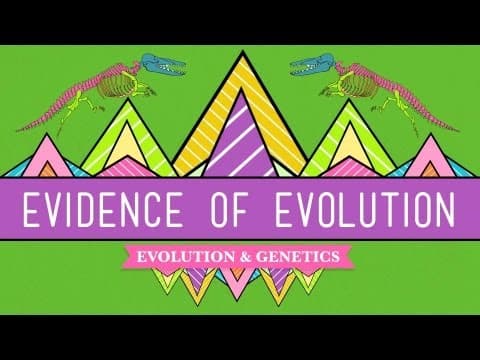 Evolution: It's a Thing - Crash Course Biology #20 - YouTube