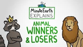 Animal Winners and Losers