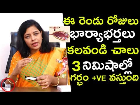 ఈ రెండు రోజులు భార్యాభర్తలు కలవండి చాలు 3 నిమిషాల్లో గర్భం పాజిటివ్ వస్తుంది | Dr. Nayani