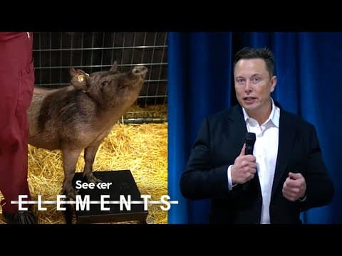 Elon Musk Just Showed Off How Neuralink's Implant Works...in a Pig