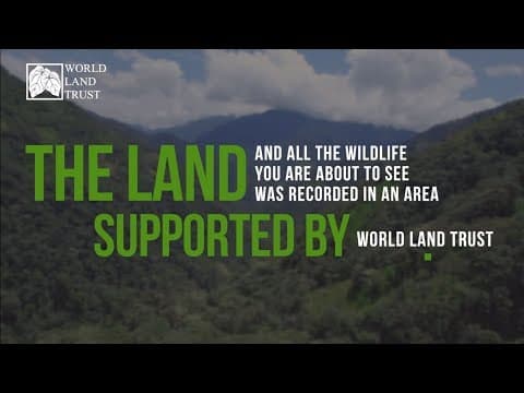 Saving Land Saving Species - YouTube