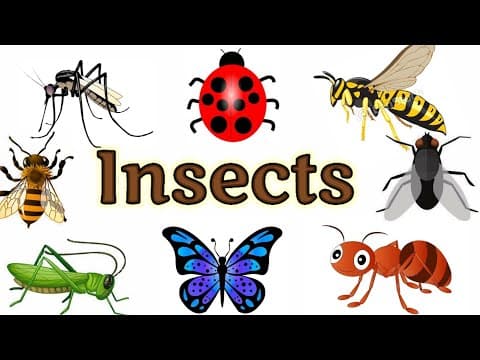 Insects name | Insects for kids |Insects | Insects name in English | Names of insects
