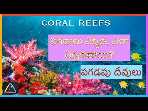 Coral Reefs | పగడపు దీవులు | Telugu Educational video | I CUBE Telugu