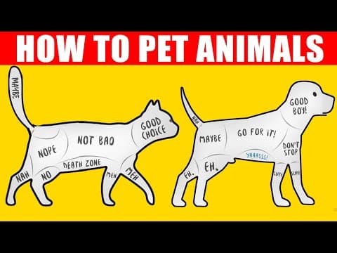 How to Pet Dogs, Cats and Animals