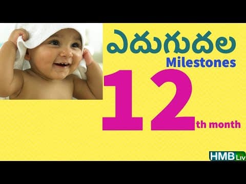 12 నెలలు నిండేసరికి బేబీ ఎదుగుదల సూచించే అంశాలు: 12 months milestones of baby