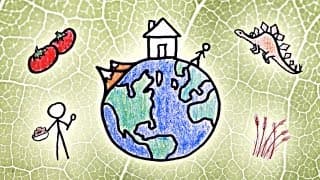 The Story of Our Planet