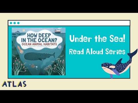 Marine Biology for Kids!- "How Deep in the Ocean?
