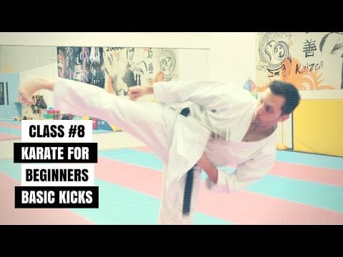 Martial Arts for Beginners – Lesson 8