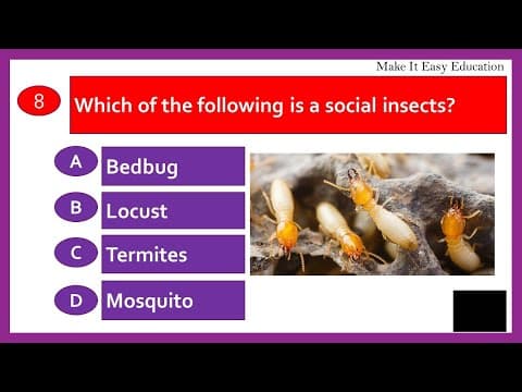 SCIENCE QUIZ || TEST 29 || SCIENCE AND TECHNOLOGY QUIZ
