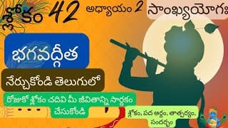 Bhagavad Gita chapter 2 verse 42||sankyayoga|| భగవద్గీత 2వ అధ్యాయం శ్లోకం 42|| divine touch telugu