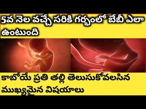 5th month pregnancy symptoms || 5th month pregnancy in telugu || 5th month baby movements in telugu
