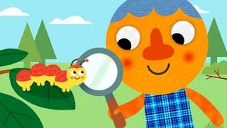 Crawl Like A Caterpillar