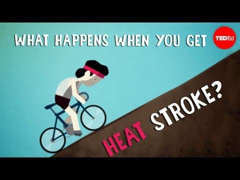 What happens when you get heat stroke? - Douglas J. Casa - YouTube