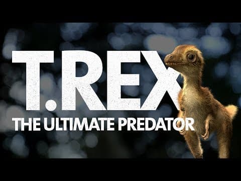 What Did a Baby T. rex Look Like? 🦖 🦖 🦖 🦖 - YouTube