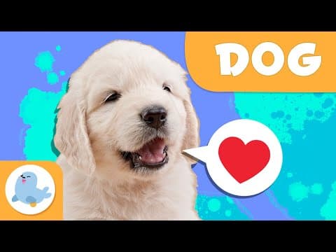 DOGS 🐶 Animals for kids 🏡 Episode 15