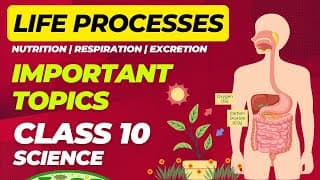 Life Processes FULL CHAPTER in ten minutesImportant Questions Class ten Science AskPrep‬