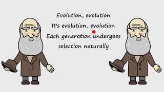 Evolution by Peter Weatherall