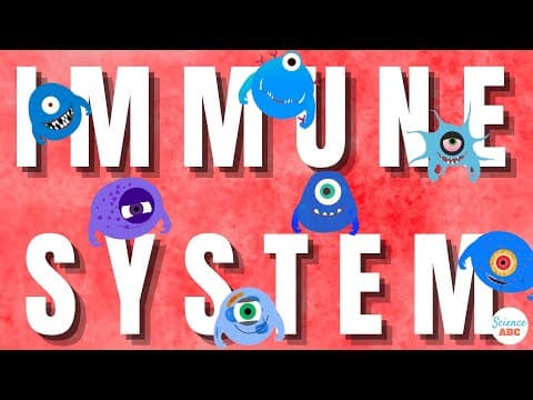 Immune System- Innate and Adaptive Immunity Explained