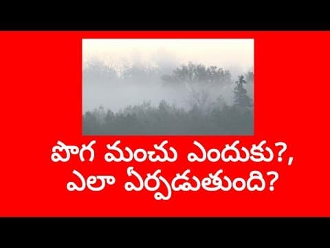 Why and how is fog formed?