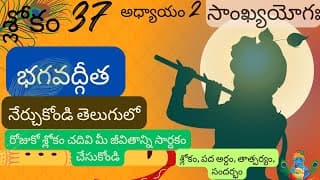 Bhagavad Gita chapter 2 verse 37||sankyayoga|| భగవద్గీత 2వ అధ్యాయం శ్లోకం 37|| divine touch telugu