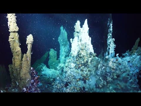 Why do we explore the deep sea and ocean floor