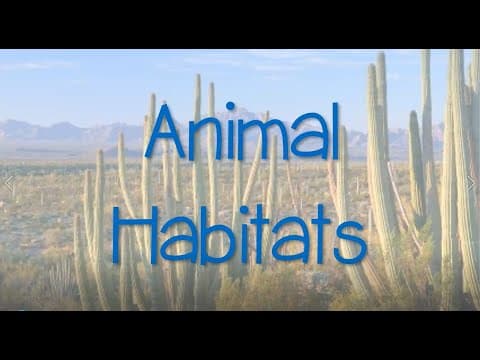 Animal Habitats