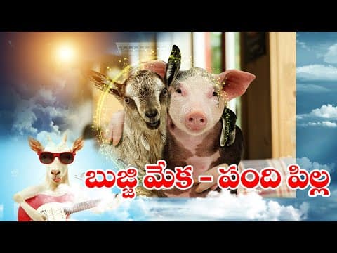 పంది పిల్ల - బుజ్జి మేక - pandhi pilla bujji meka - telugu short stories for children