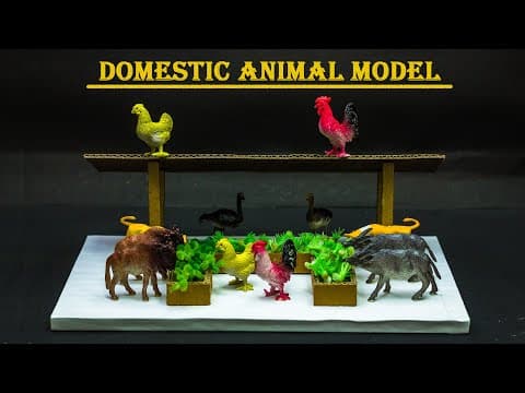 Science Projects | Domestic Animals Model
