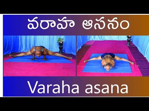 Varaha asana by Kuppi Reddy | Benefits of Varaha asana | Yoga in Telugu
