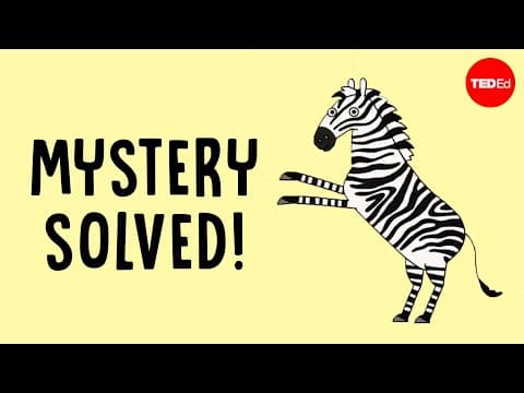 The surprising reason zebras have stripes - Cella Wright - YouTube