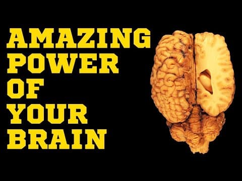 आपके दिमाग की अनोखी शक्ति - the power of your brain