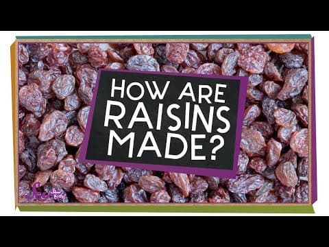 How Are Raisins Made?