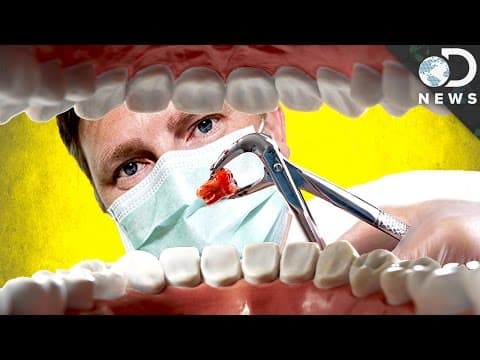 Why Don’t We Need Our Wisdom Teeth Anymore?