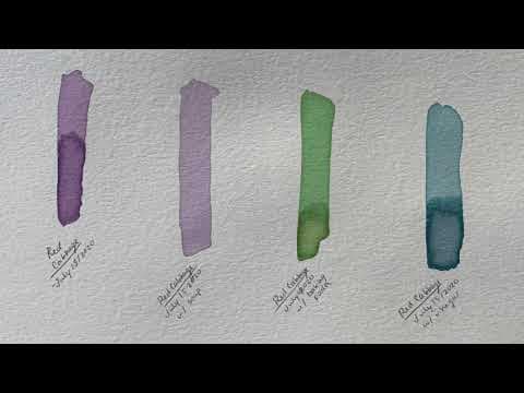 Color-Changing Chemistry: How to make botanical ink